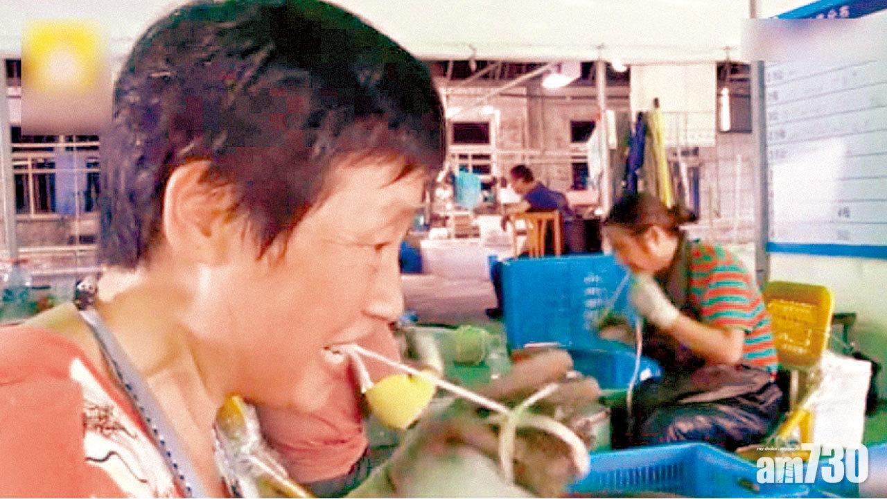 大閘蟹季帶挈紮蟹工人月入過萬