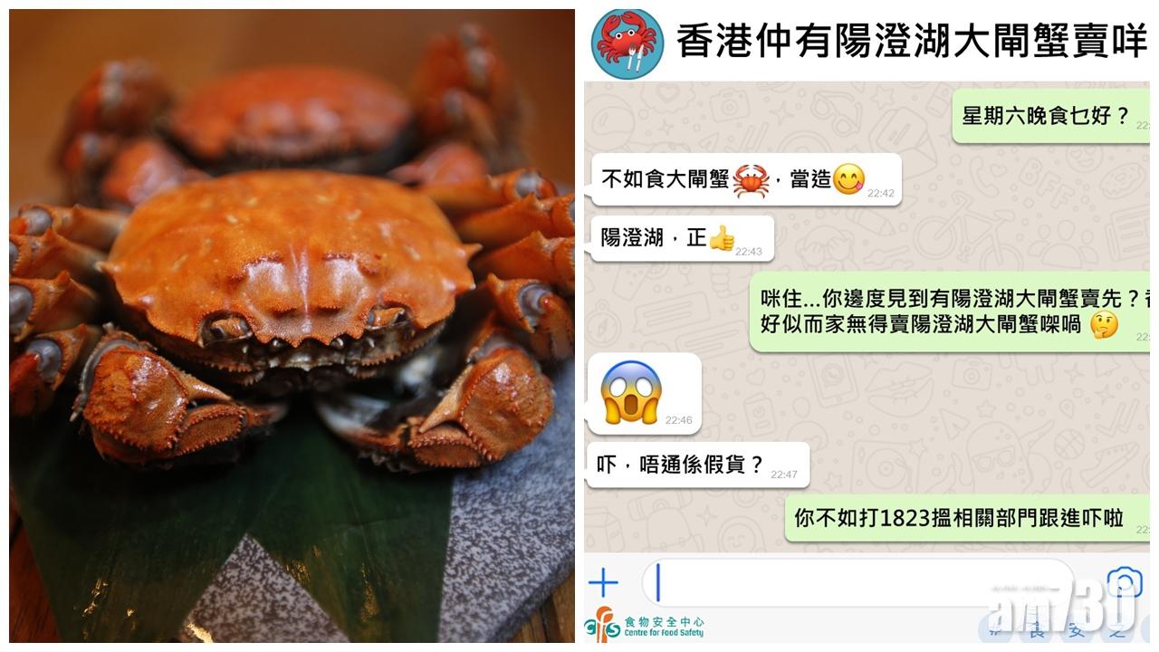 食安中心：香港暫無輸入陽澄湖大閘蟹紀錄