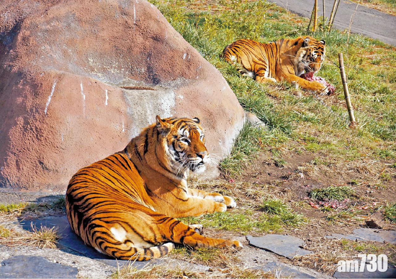 大分動物園 秋天該很好