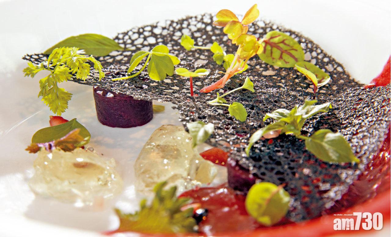 aqua 餐桌上的小花園