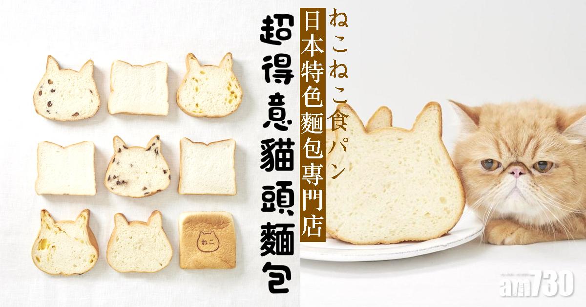 【咪飛邊】日本超得意貓頭麵包