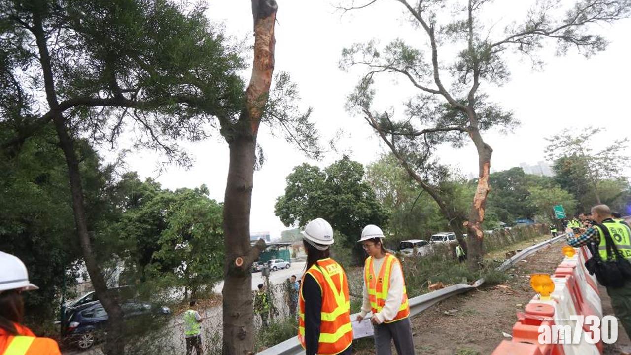 【九巴車禍】粉嶺公路嚴重車禍　九巴司機今早提堂