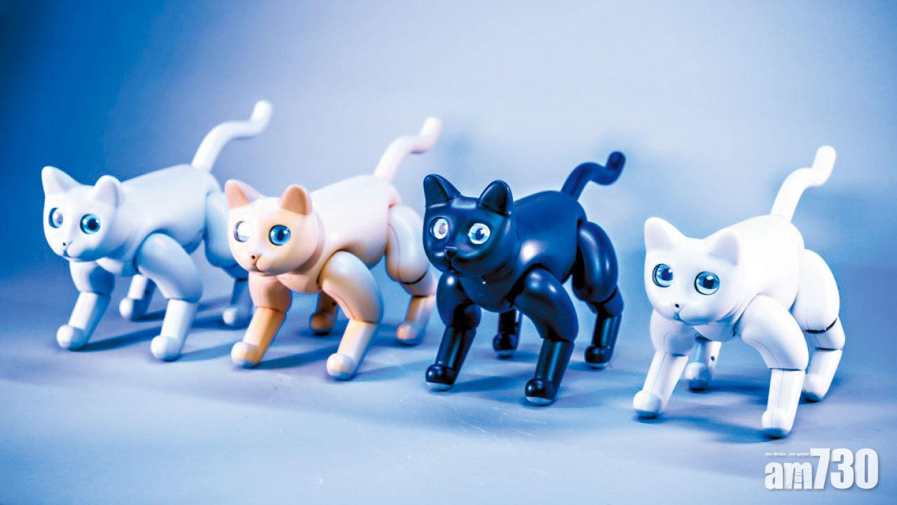 眾籌機械貓今年推出