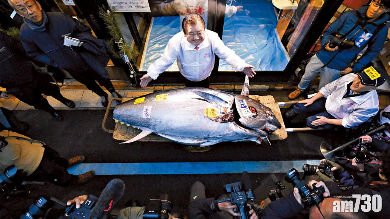 令和首拍 歷來第二貴 日藍鰭吞拿1400萬港元成交