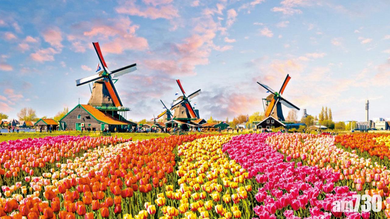 花漾荷蘭行 漫遊全球鬱金香花展之最