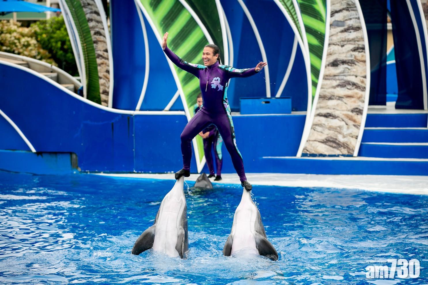 【太唔人道】美海洋世界受壓  叫停「騎海豚」表演