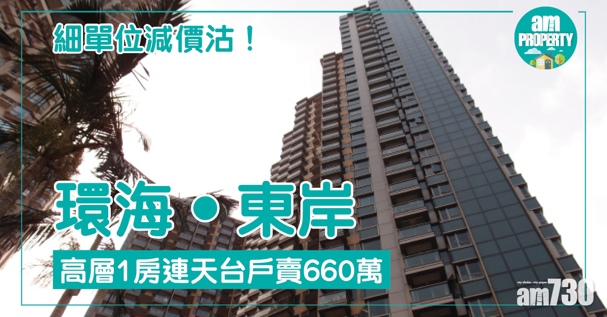 細單位概況！環海‧東岸5年蝕使費沽