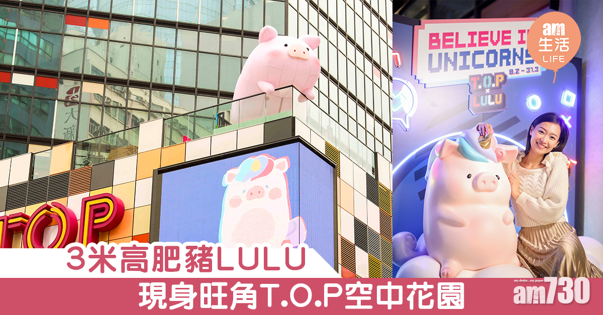 3米高肥豬LULU 現身T.O.P空中花園