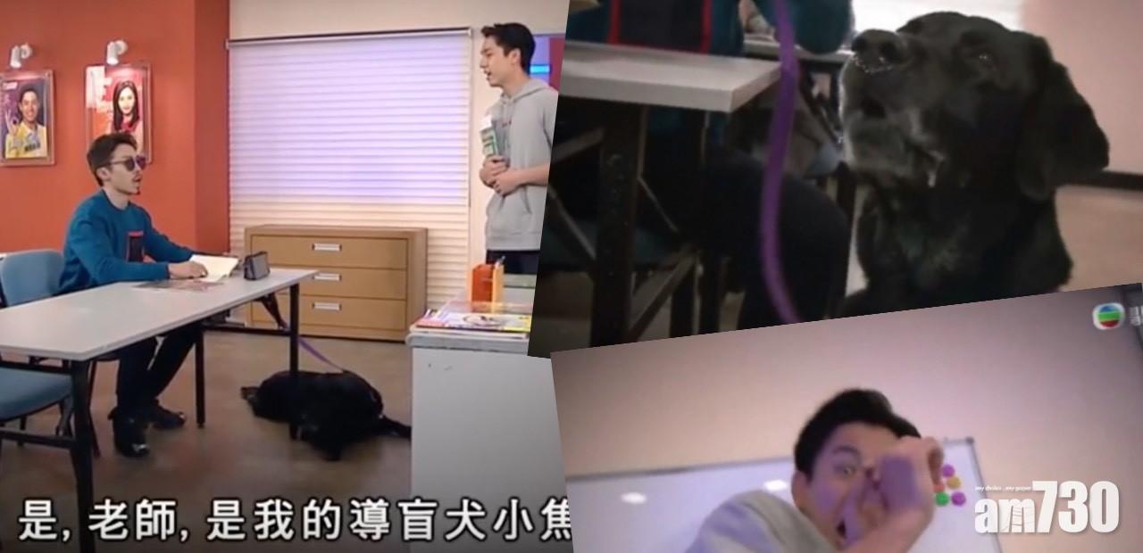 香港導盲犬協會點名《愛•回家》醜化導盲犬