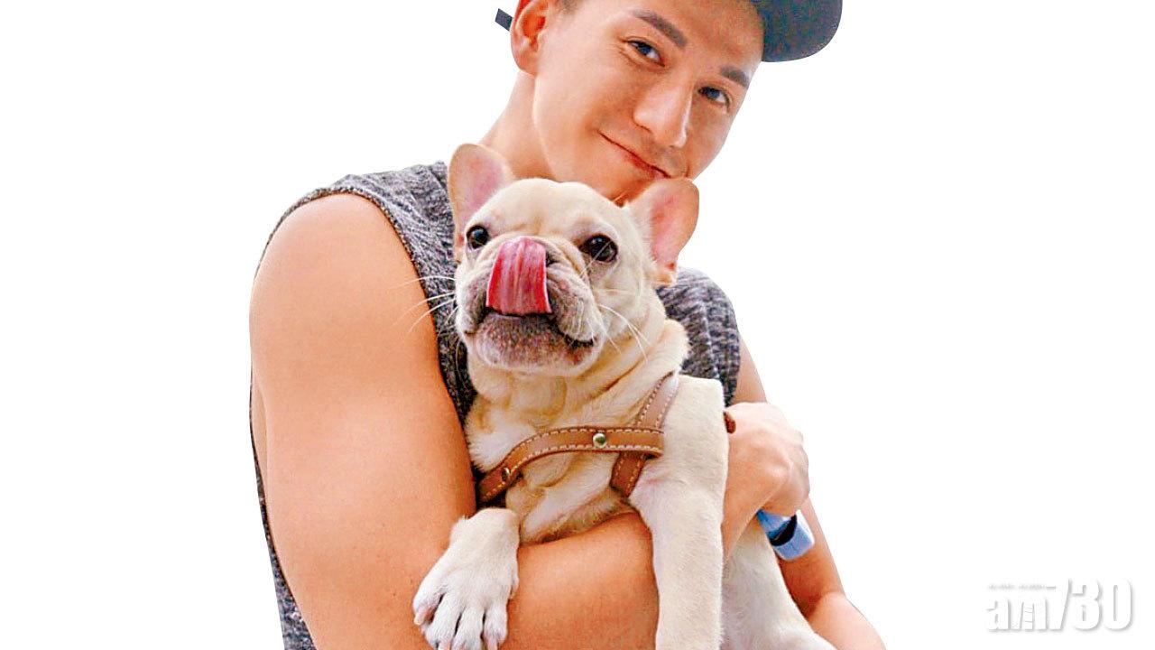 小時候被狗追致畏犬 袁鎮業養法國老虎狗定驚