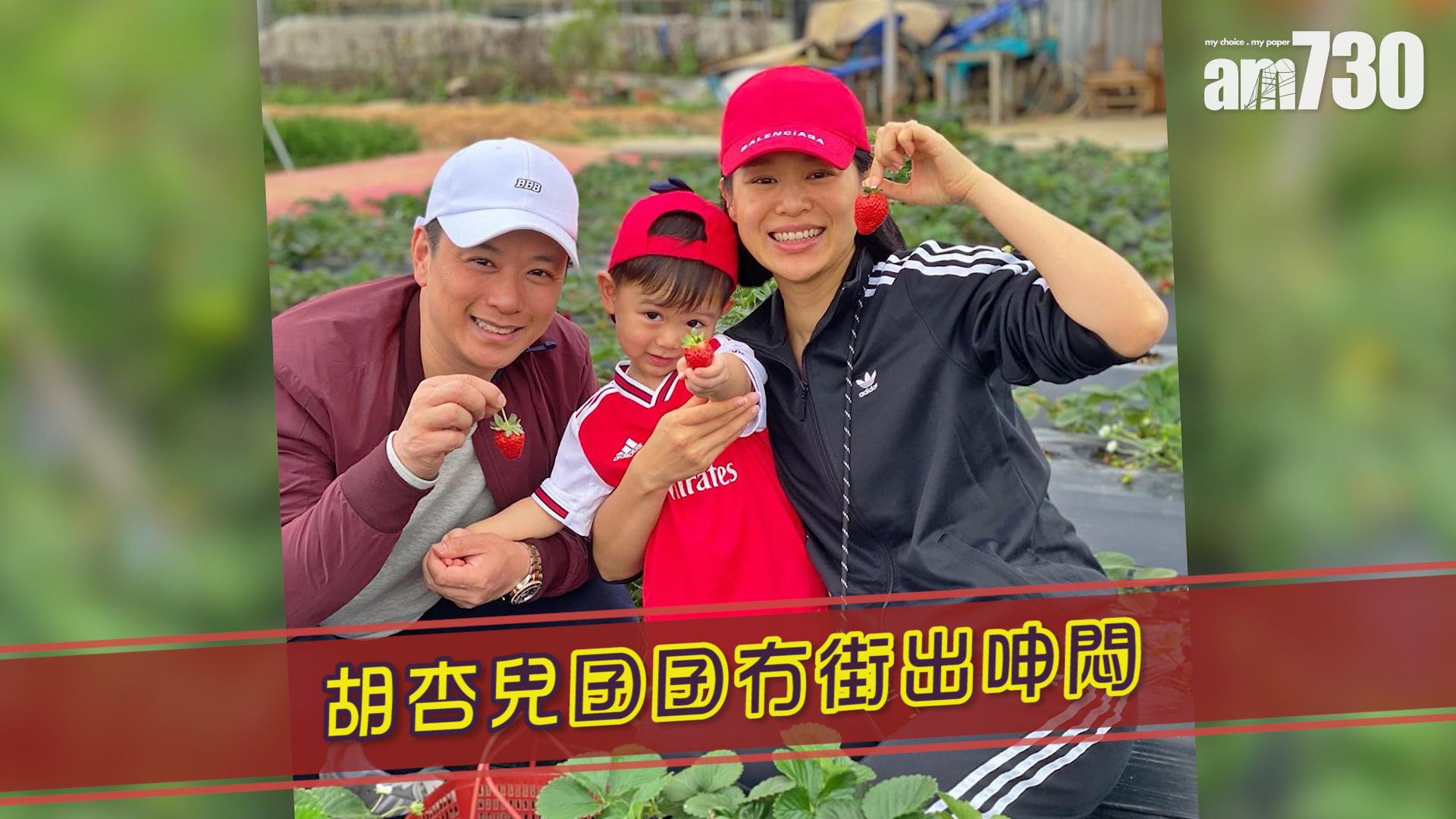 胡杏兒囝囝冇街出呻悶