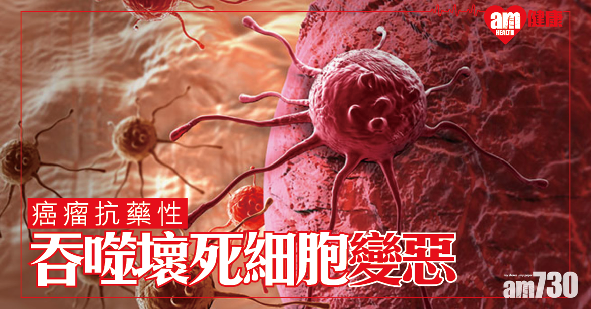 【癌症抗藥性】研究：吞噬壞死細胞 養肥變惡