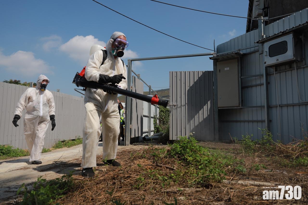 【圖集】元朗崇山新村現今年首宗本地登革熱　食環署派員滅蚊