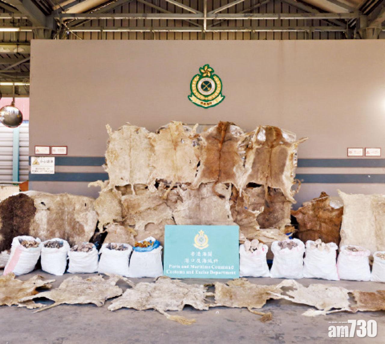 檢17噸走私驢皮