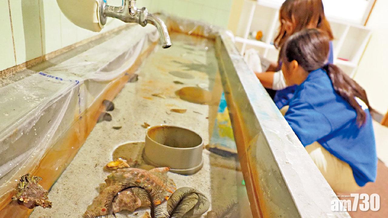 最強空間大改造 高知廢校變水族館