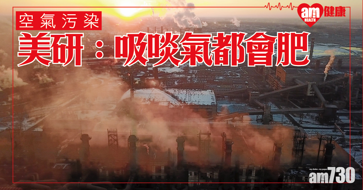 空氣污染 美研：吸啖氣都會肥