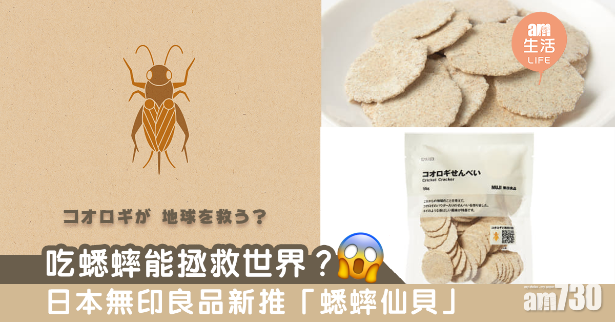 吃蟋蟀能拯救世界？　日本無印良品新推「蟋蟀仙貝」