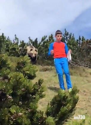 【超恐怖】樹叢突現巨熊  男童慢慢移步脫險境 (有片)