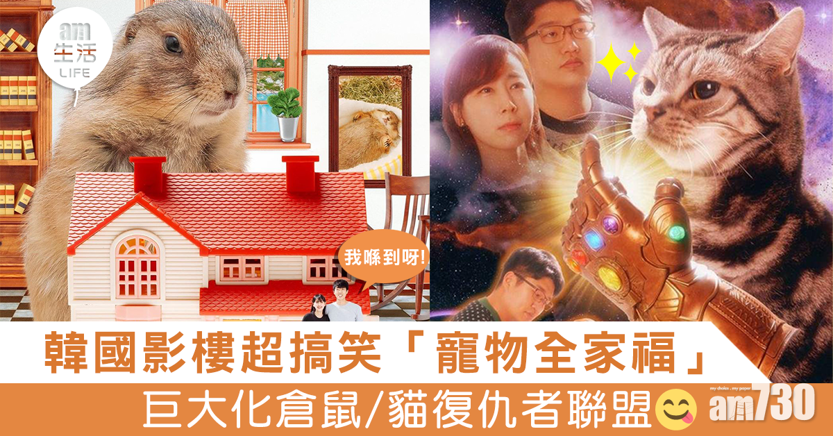 韓國影樓超搞笑「寵物全家福」