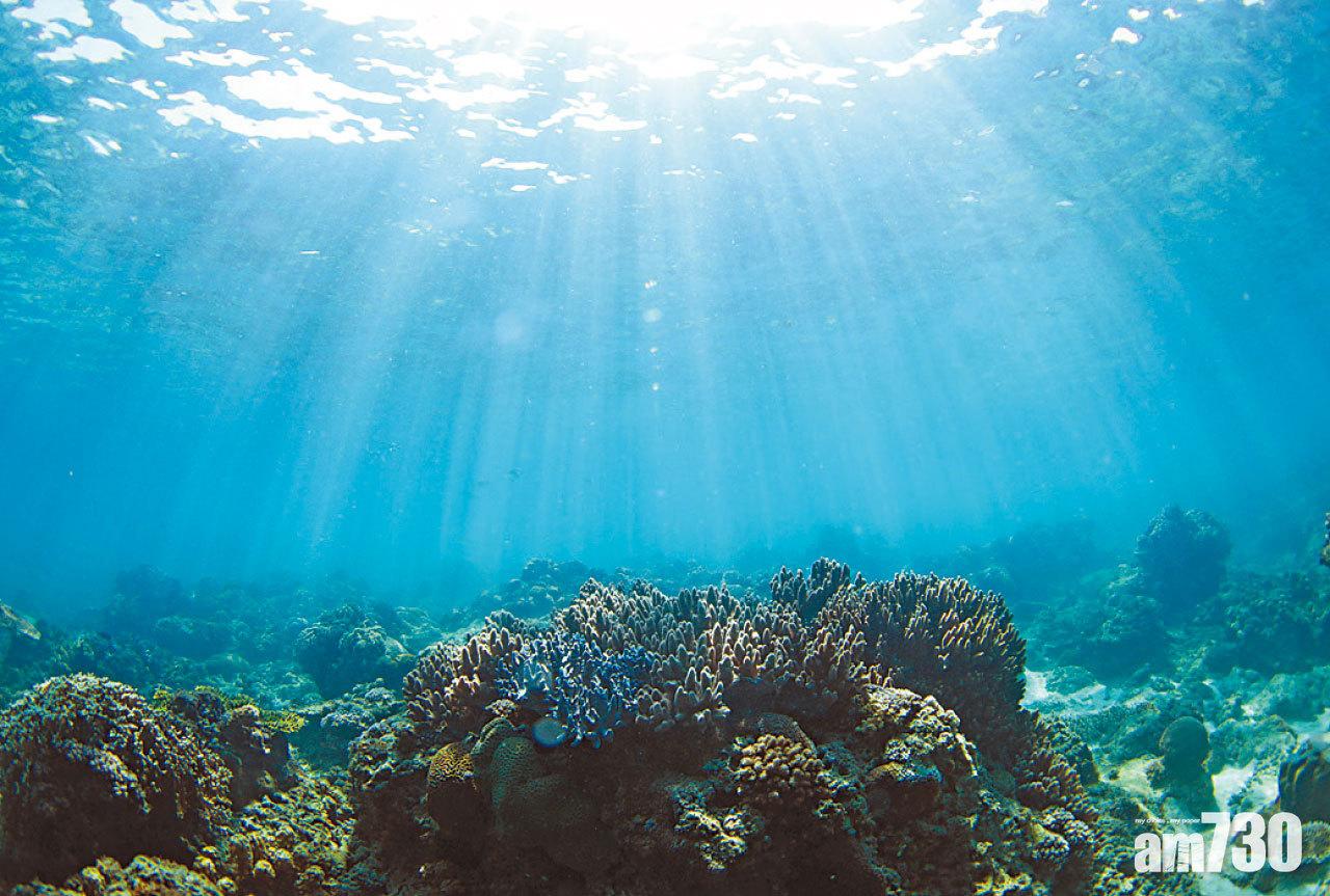 建設10年 蜈支洲島海洋牧場成形