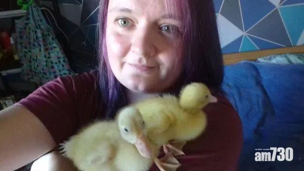 【榮升鴨媽媽】英女超市買鴨蛋  竟孵出3隻鴨仔