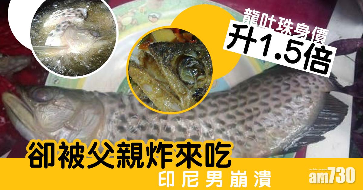 龍吐珠身價升1.5倍　卻被父炸來吃令印尼男崩潰