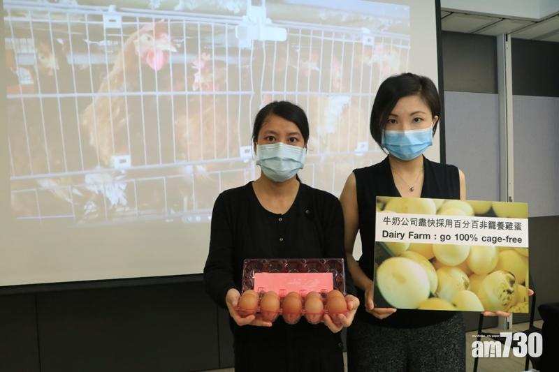 「籠屋雞蛋」染菌風險高33倍  組織促關注食安問題