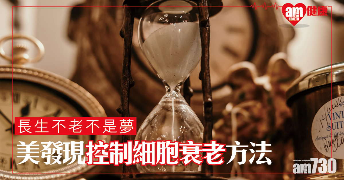 長生不老可實現？美研究發現控制細胞衰老方法