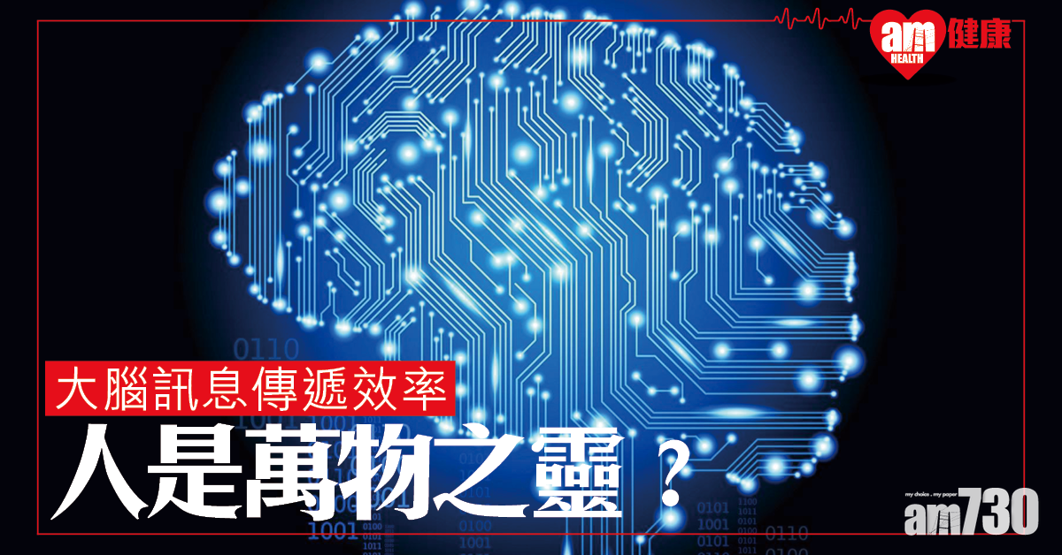 人未必是萬物之靈？