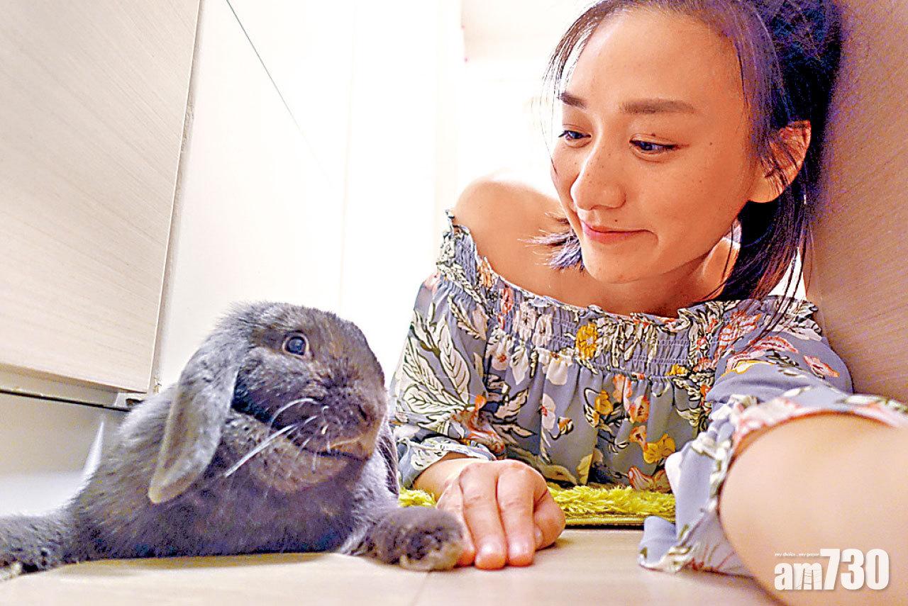 家中兔子不愛抱抱 徐頴堃：一到夜晚異常活躍