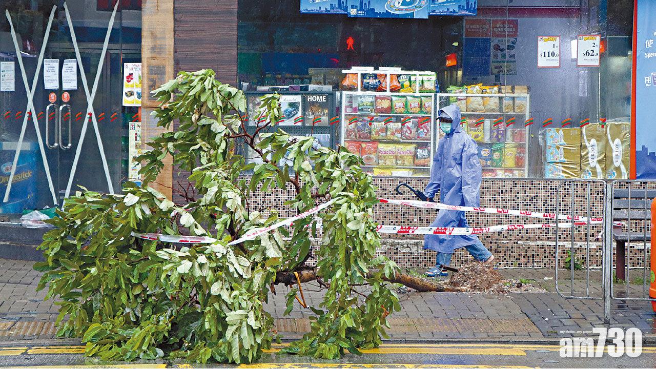 驚險之旅 9號風球下母子塔門露營 海高斯捲走營幕 七旬母現低溫症