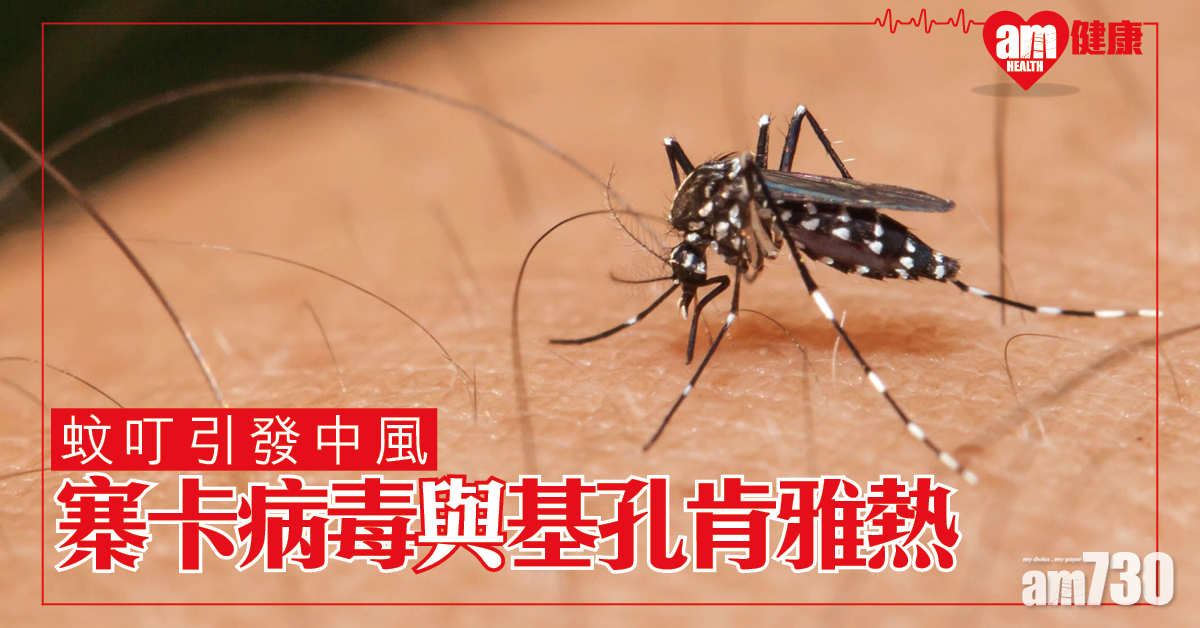 提防蚊叮 英研寨卡病毒與基孔肯雅熱引發中風