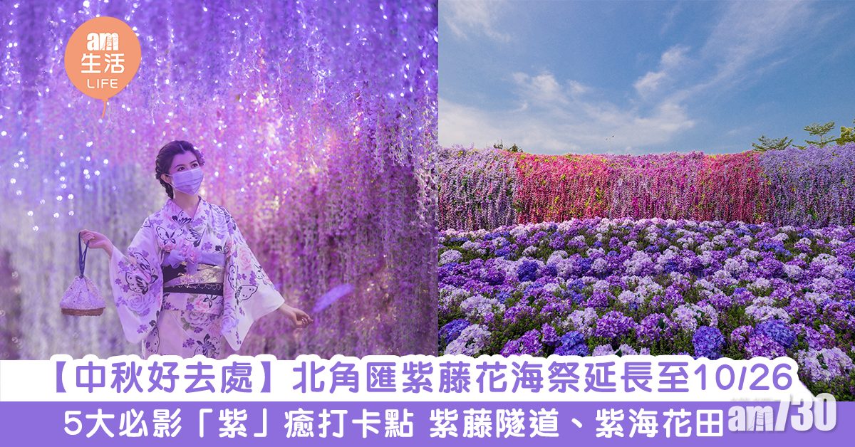 【中秋好去處】北角匯紫藤花海祭延長至10月26　5大必影「紫」癒打卡點