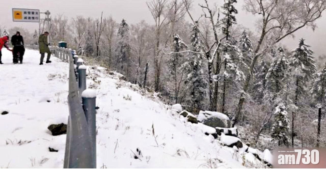 圖片新聞 : 初雪