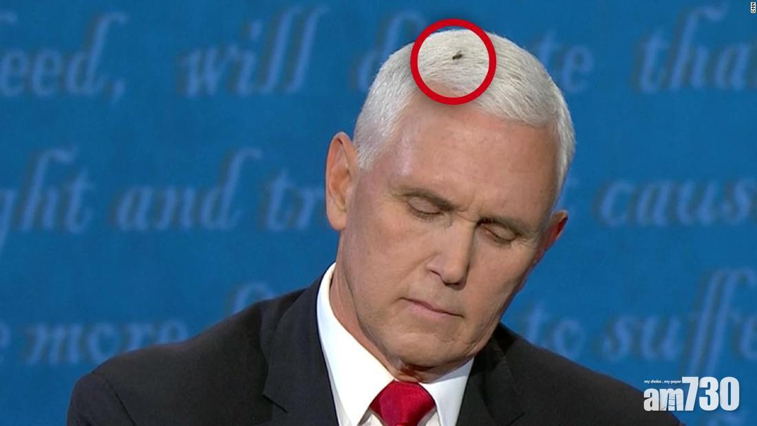 【美國大選】副總統候選人辯論  烏蠅停彭斯頭上成熱話 (有片)