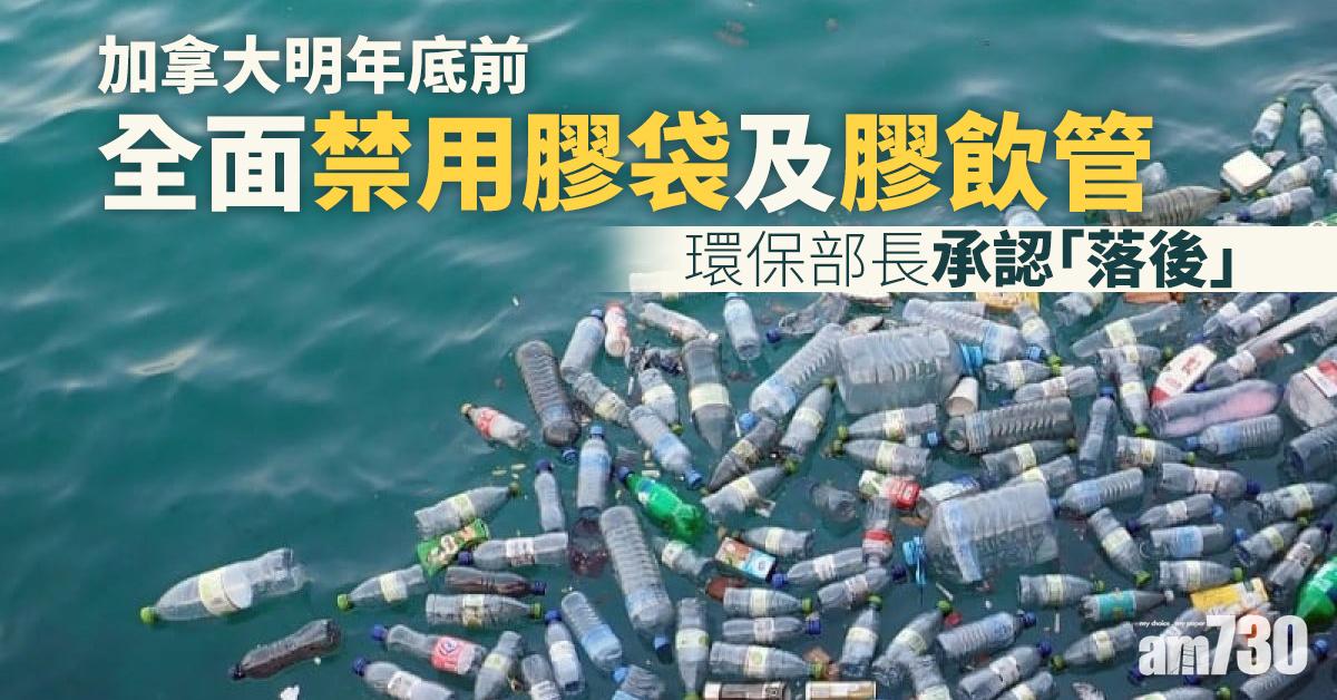 【走塑】加拿大明年底前全面禁用膠袋及膠飲管 環保部長承認「落後」
