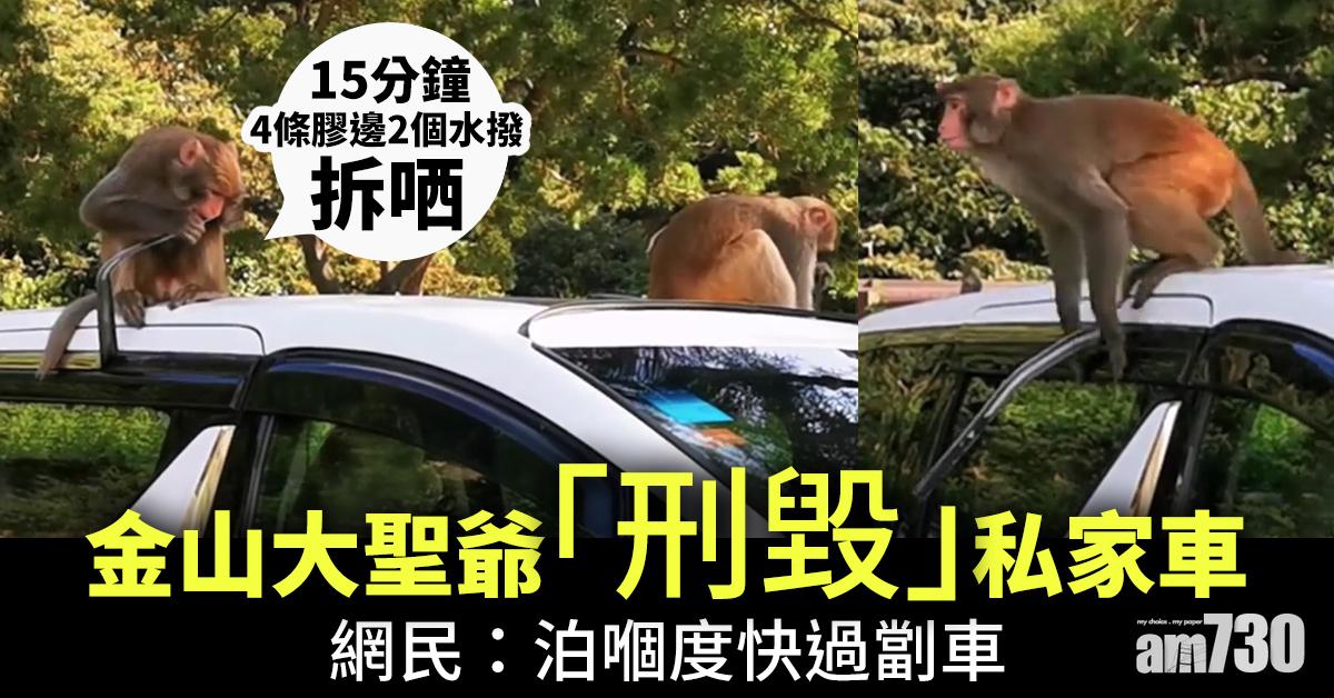 【破壞王】金山大聖爺「刑毀」私家車　網民：泊嗰度快過劏車