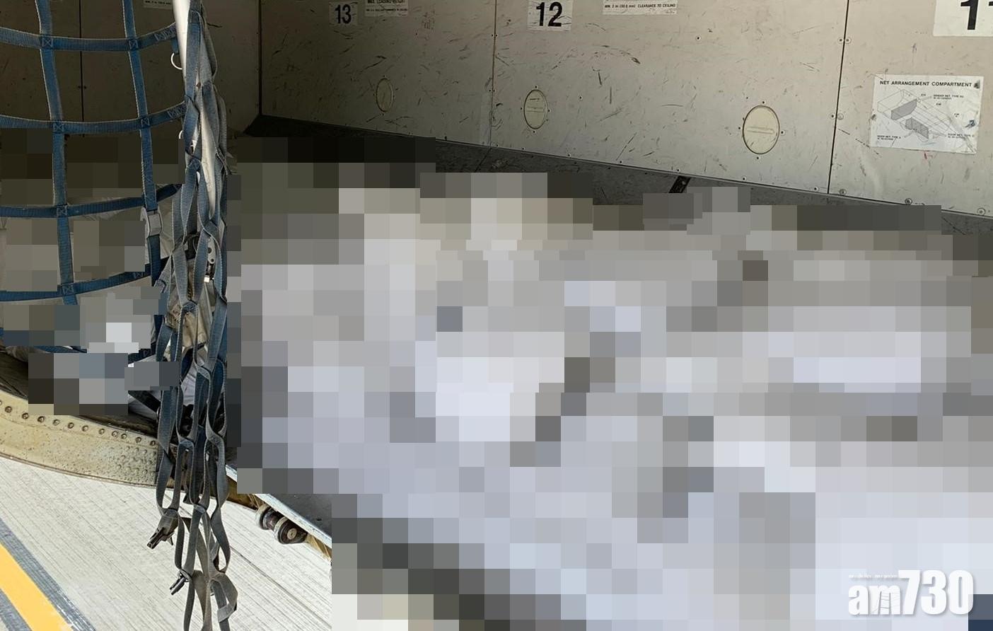 【應對風暴】機管局為飛機「增磅」　其中一招原來係「入＿」