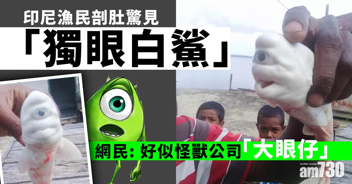 【基因突變】印尼漁民剖肚驚見「獨眼白鯊」 網民：好似怪獸公司「大眼仔」