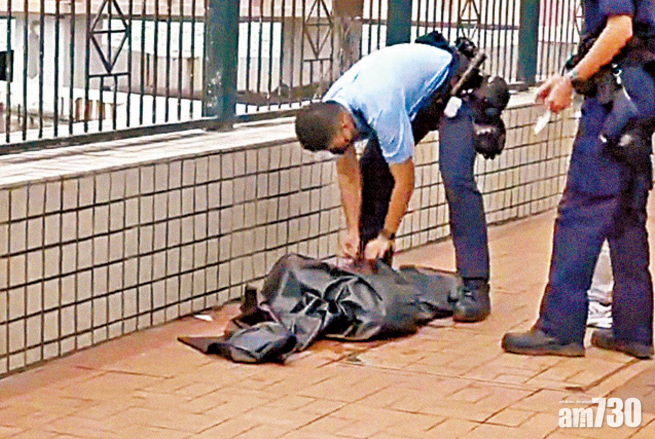 放入膠袋綑水龍頭沉屍大海 唐狗疑被殘酷虐待