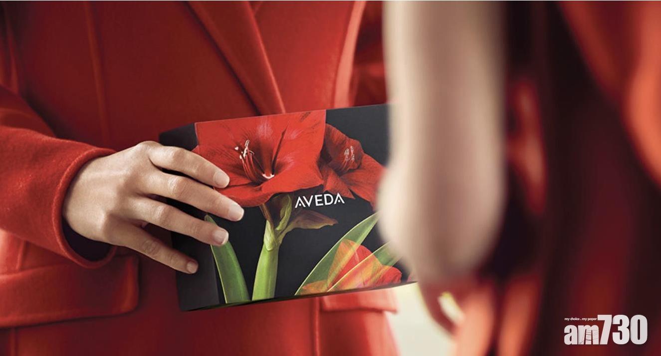 AVEDA節日套裝 由頭到腳照顧周到