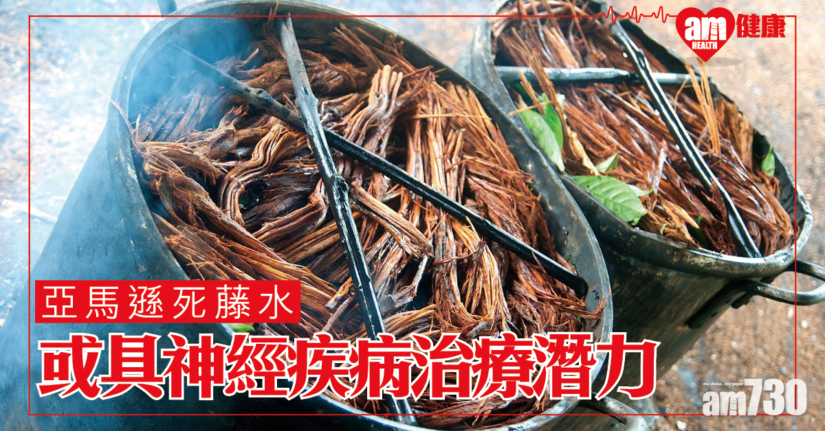 【亞馬遜死藤水】西班牙研究指或具神經性疾病治療潛力