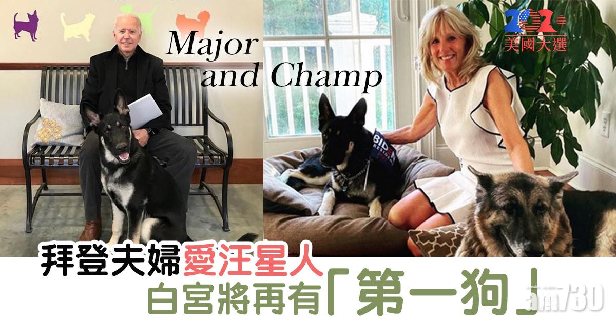【美國大選】拜登夫婦愛汪星人  白宮將再有「第一狗」