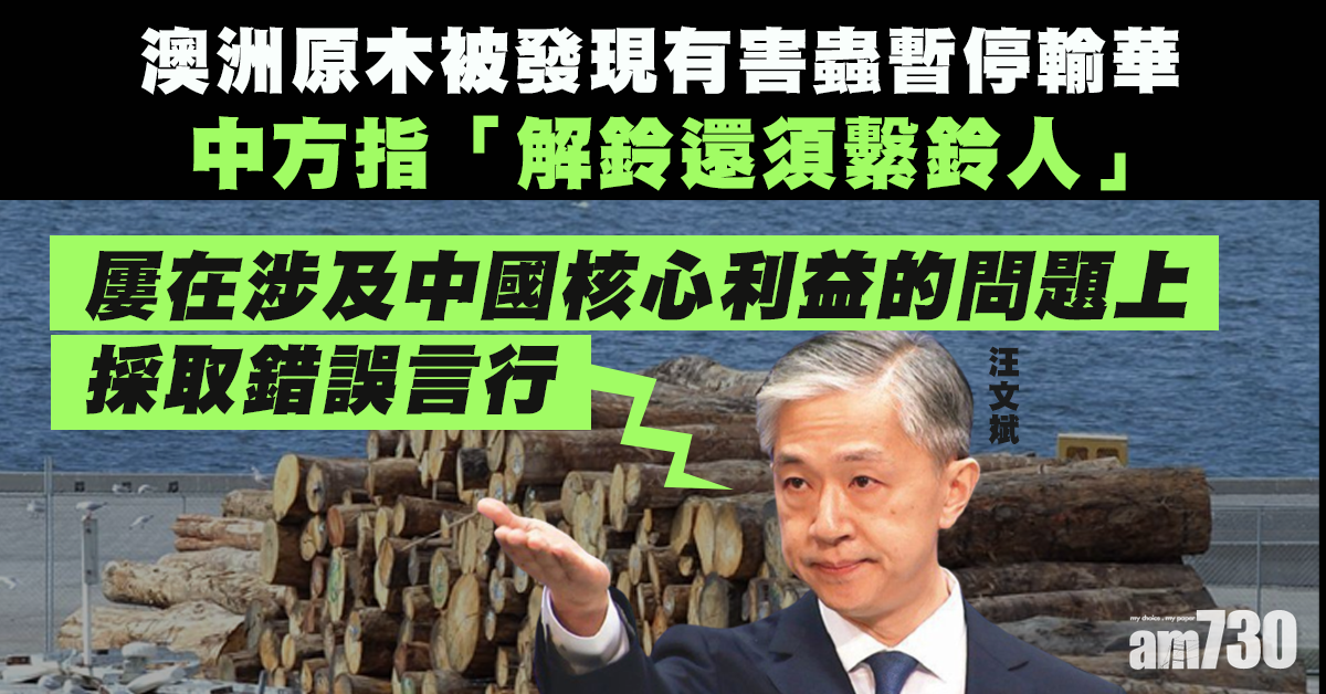 澳洲更多原木被發現害蟲暫停輸華 中方強調措施合理