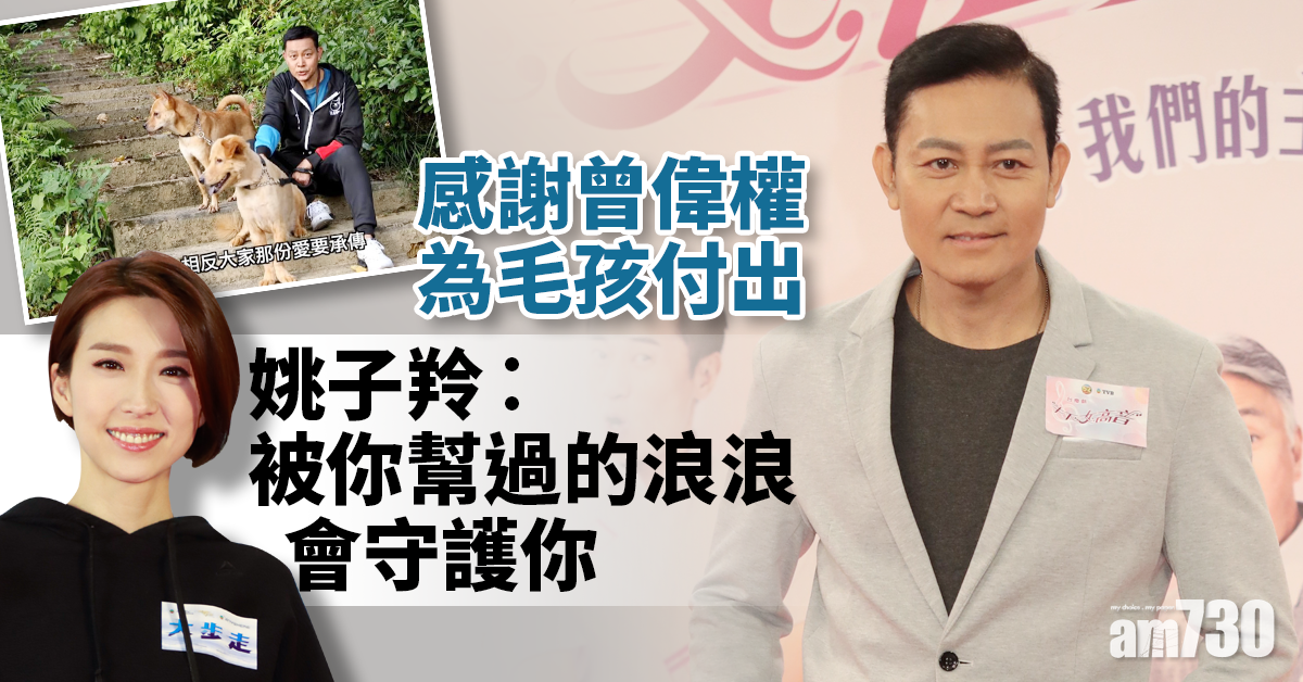 【愛狗之人】姚子羚感謝曾偉權為毛孩付出︰被你幫過的浪浪會守護你