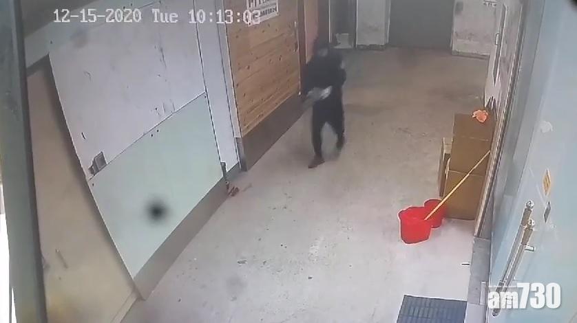 【CCTV直擊】荃灣口罩廠遭擲石爆玻璃門　東主懸紅百萬元緝兇