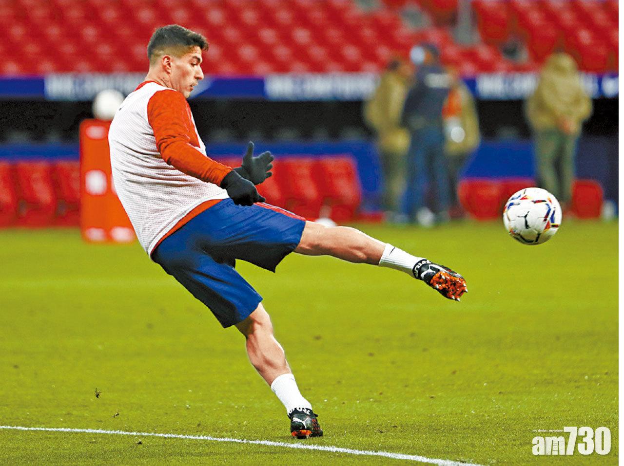 馬體會強勢撲擊皇蘇