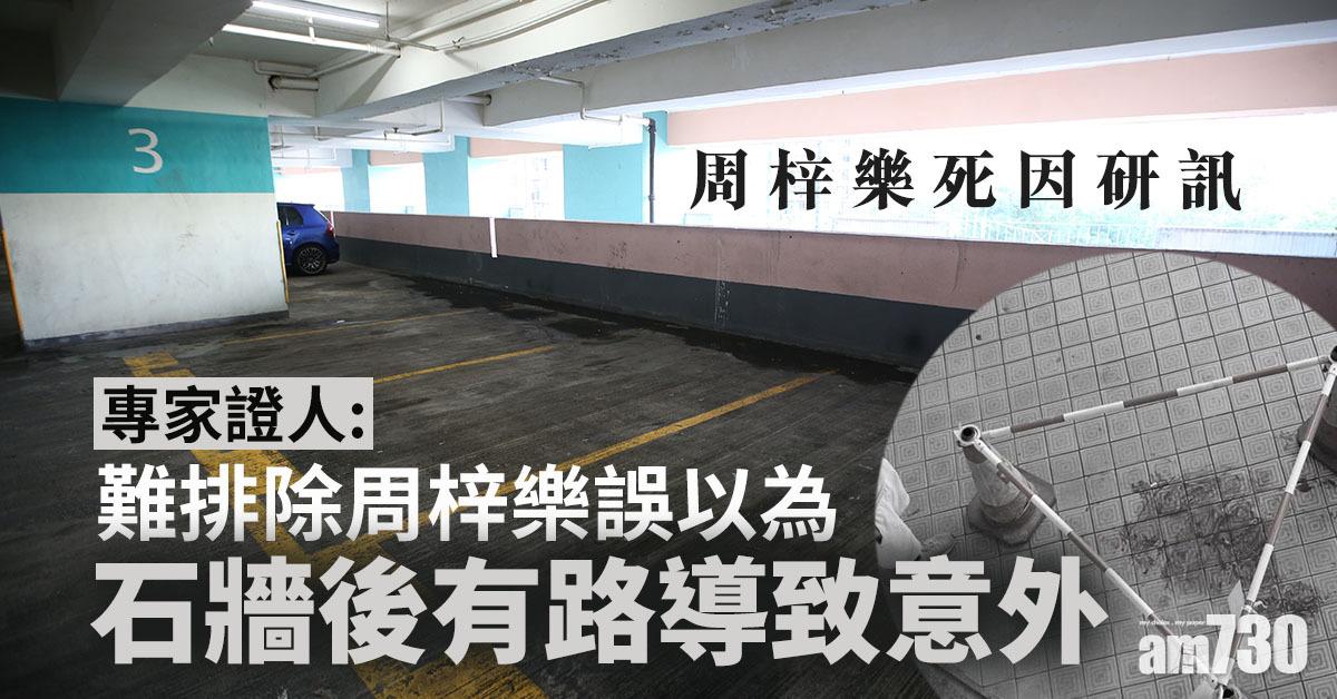 【周梓樂死因研訊】專家證人：難排除周梓樂誤以為石牆後有路導致意外