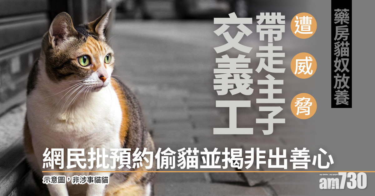 【毛孩天地】藥房貓奴放養遭威脅帶走交義工　網民批預約偷貓並揭非出善心