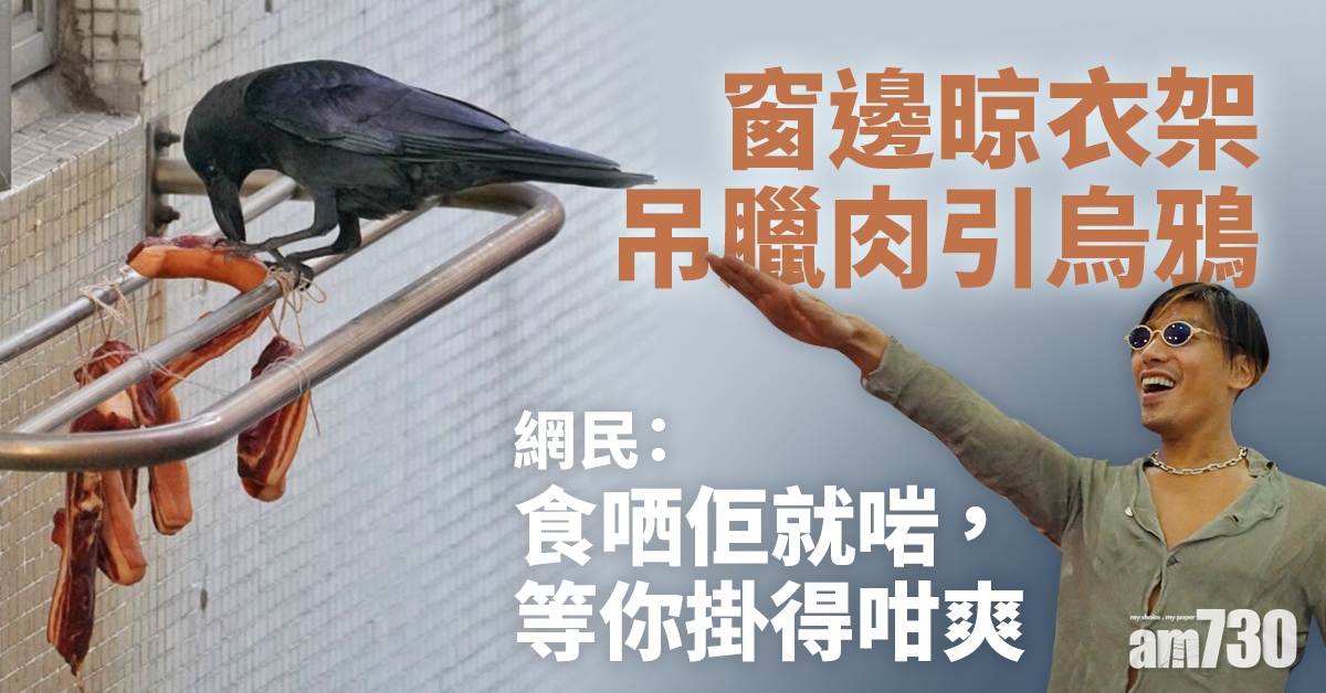 【網上熱話】窗邊晾衣架吊臘肉引烏鴉 網民：食哂佢就啱